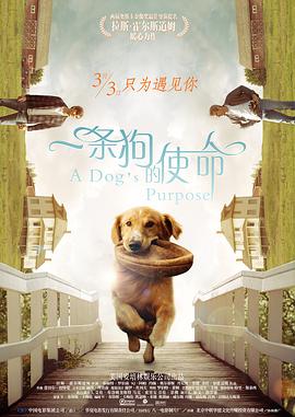 现实主义力作《无处可逃》开机 用一起“性骚扰”引发社会反思 2021-07-27 酒后骚扰女性后，曹格和吴速玲分居，深情终于走向两相厌 2022-06-17 居民对埃兹拉·米勒申请限制令 被指控骚扰和威胁 2022-03-31 据外媒报道，两名夏威夷居民申请了针对演员埃兹拉·米勒的临时限制令，称其对他们进行了骚扰和威胁。